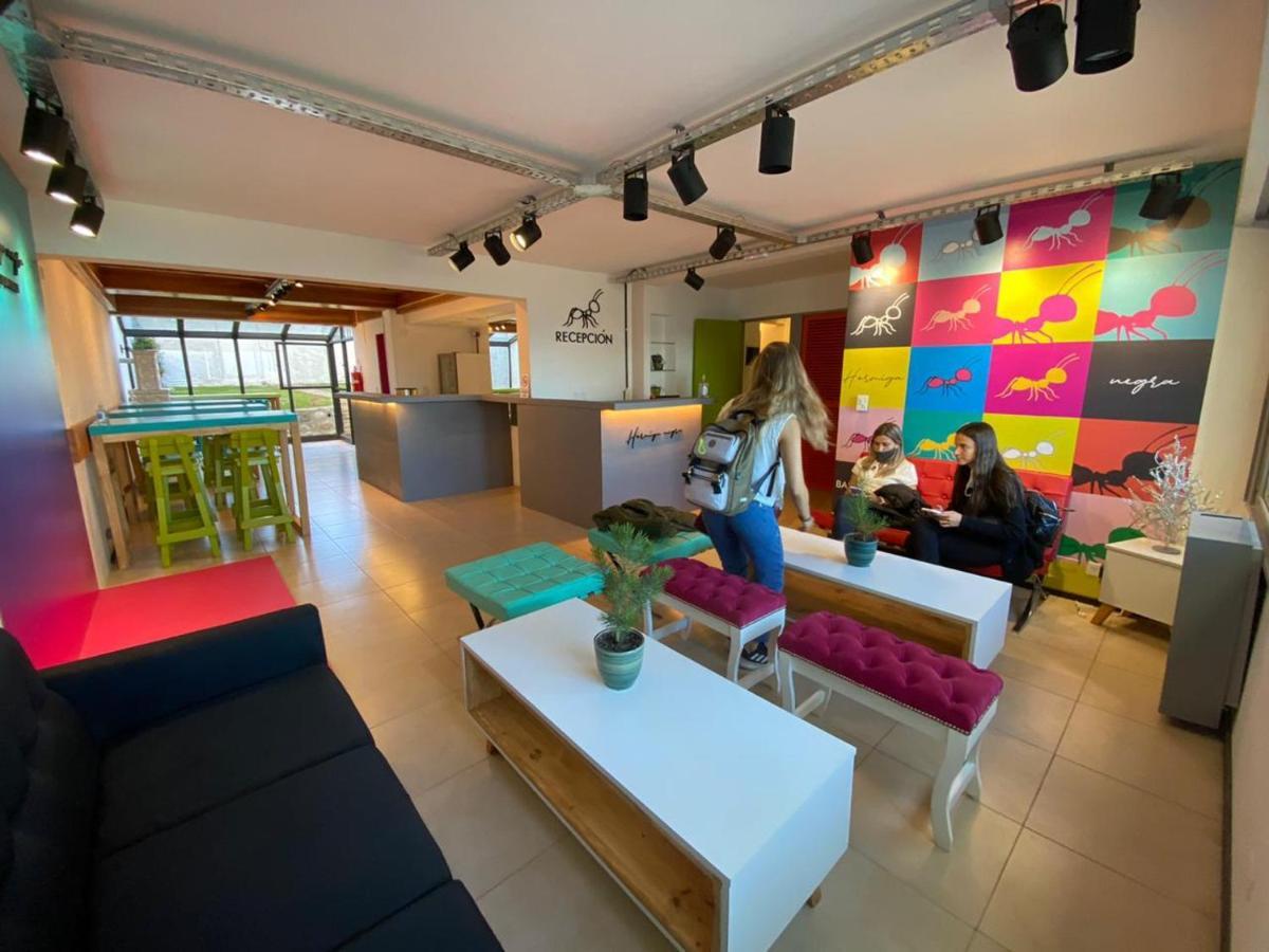 Hostel Hormiga Negra سان كارلوس دي باريلوتشي المظهر الخارجي الصورة